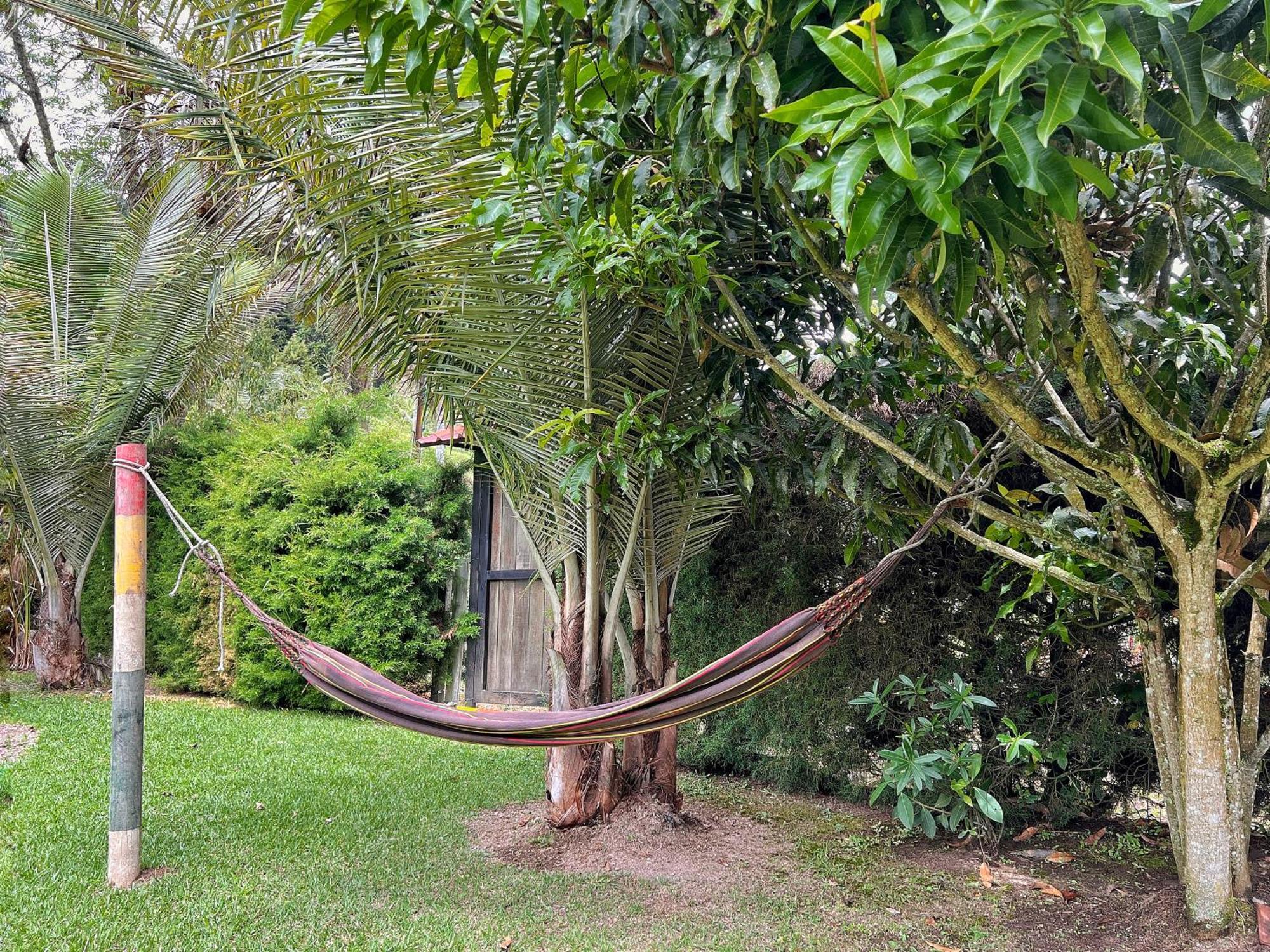 Paraiso Cocora Саленто Екстериор снимка